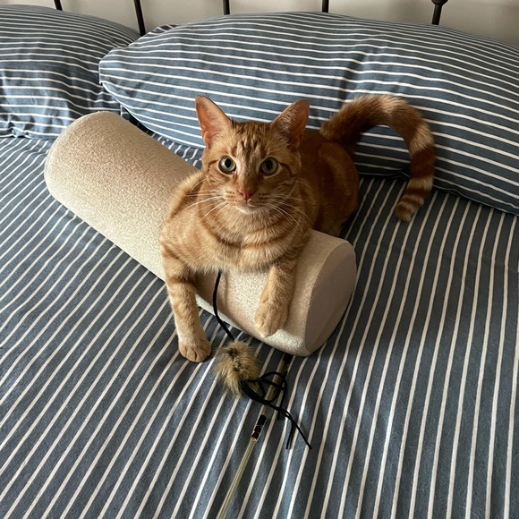 Meet your Posher, B - Picture 1 of 2